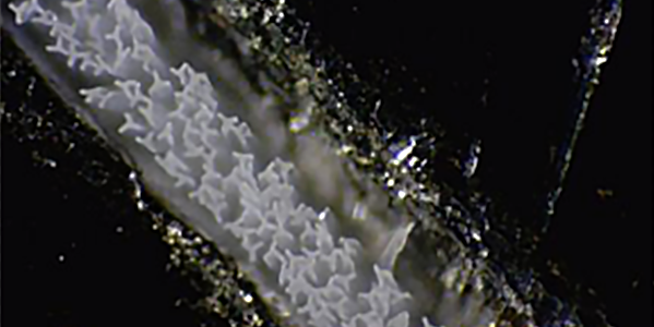 Exclusive Supply Cellulose Acetate Tow and Flakes for Cigarette Packaging