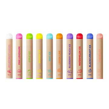 Eco Pro Disposable Vape Lightweight E-Cigarette 600 Puffs