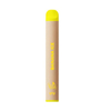 Eco Pro Disposable Vape Lightweight E-Cigarette 600 Puffs