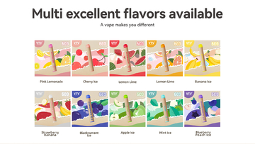 Eco Pro Disposable Vape Lightweight E-Cigarette 600 Puffs